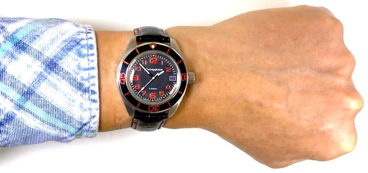 ВОСТОК КОМАНДИРСКИЕ (030786 S1)