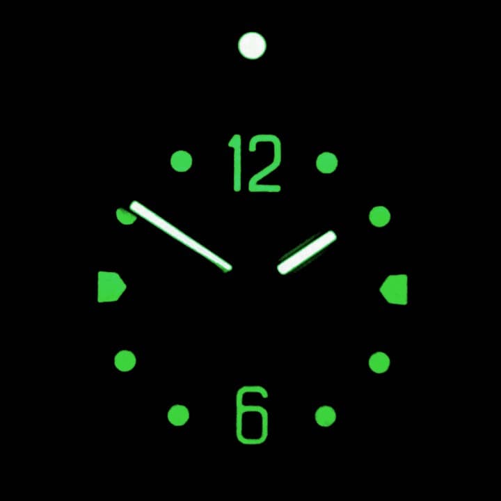 ВОСТОК КОМАНДИРСКИЕ (480514)