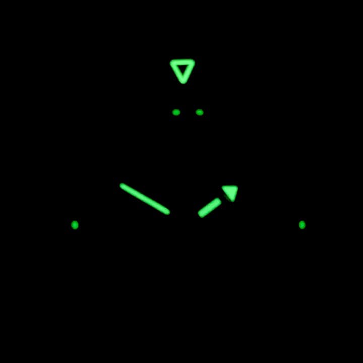 ВОСТОК КОМАНДИРСКИЕ (350501)