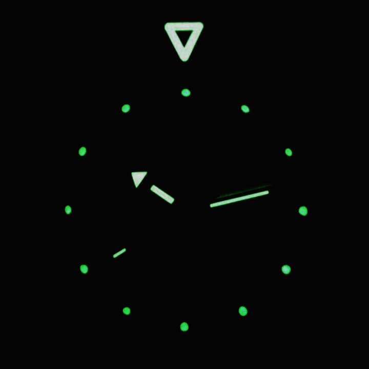 ВОСТОК КОМАНДИРСКИЕ (350746)