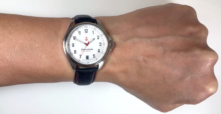 ВОСТОК КОМАНДИРСКИЕ (340766)