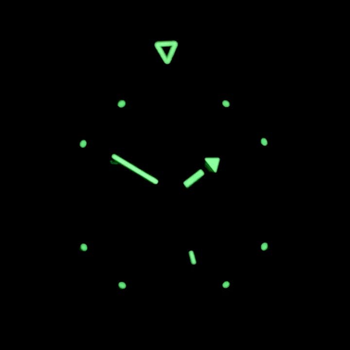 ВОСТОК КОМАНДИРСКИЕ (350503)