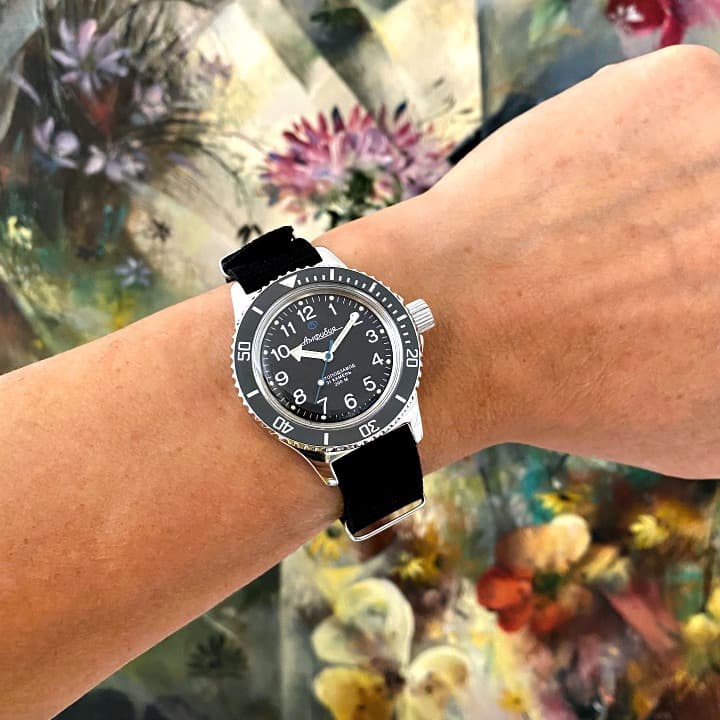 ВОСТОК АМФИБИЯ (120811 S1)