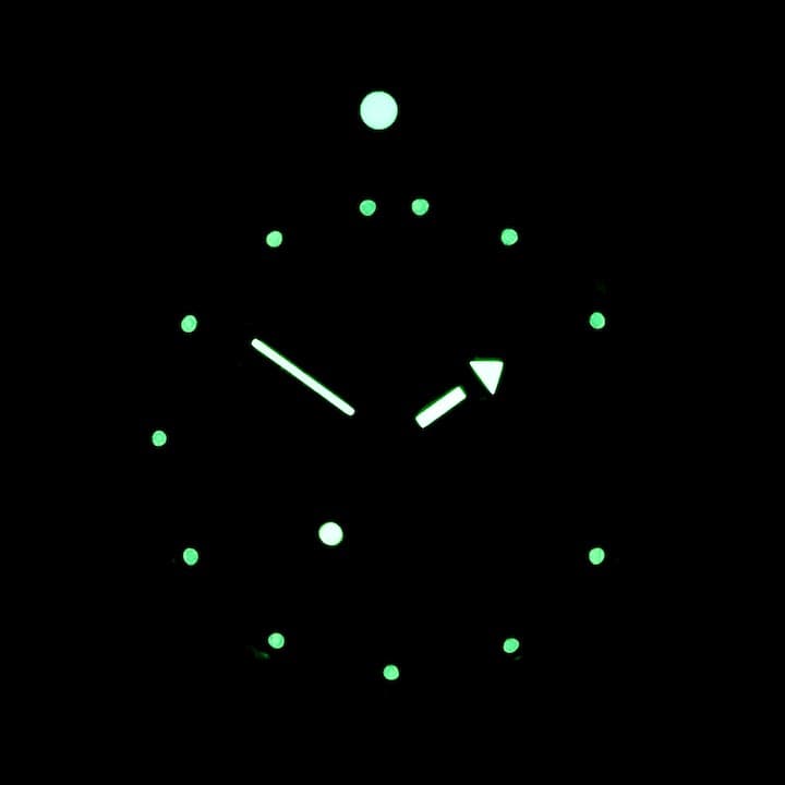 ВОСТОК АМФИБИЯ (420306 S2)