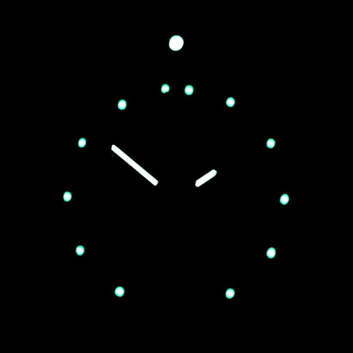 ВОСТОК КОМАНДИРСКИЕ ПОГРАНИЧНИКИ (431950 S2)