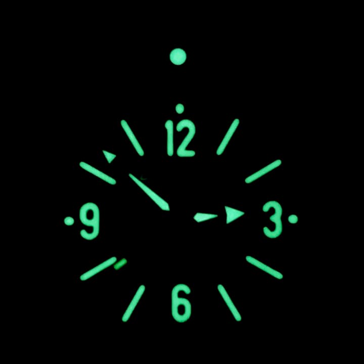 ВОСТОК АМФИБИЯ SCUBA DUDE (170660.059 SE1)