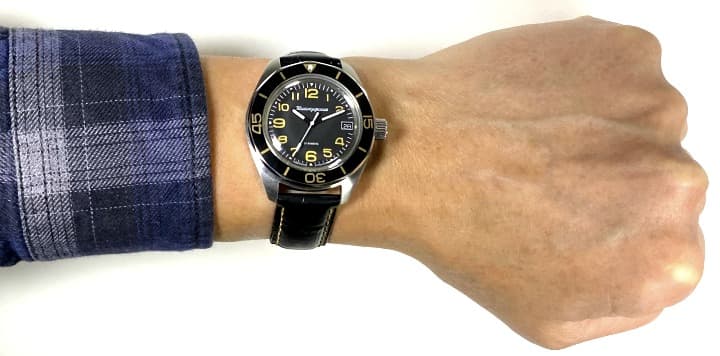 ВОСТОК КОМАНДИРСКИЕ (030787 S1)