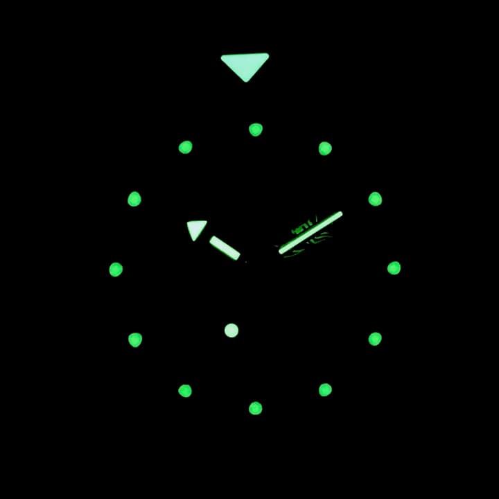 ВОСТОК АМФИБИЯ SCUBA DUDE (710919 S2)