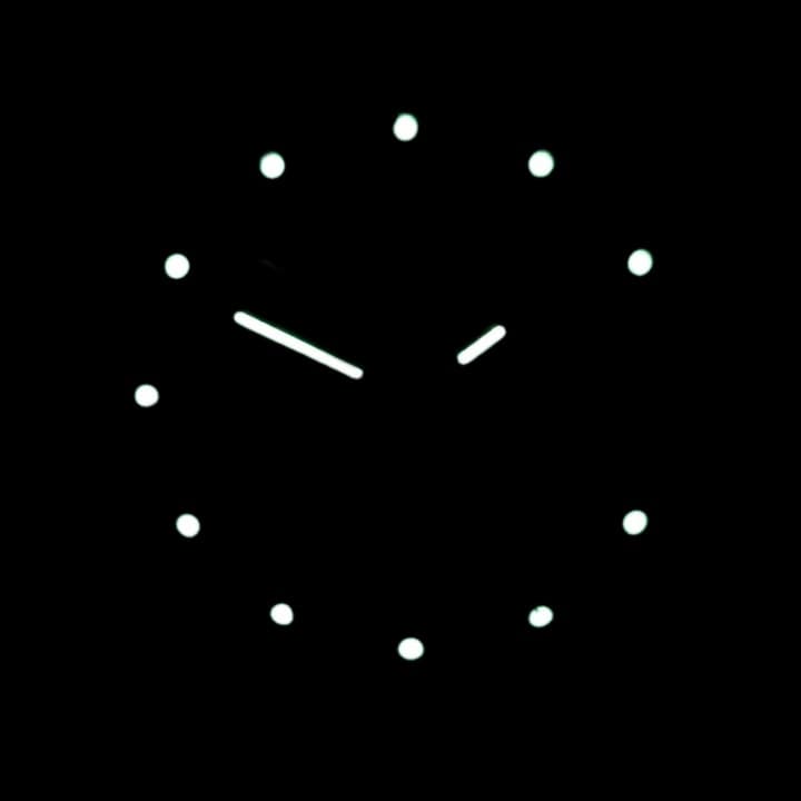 ВОСТОК КОМАНДИРСКИЕ (81687Б)