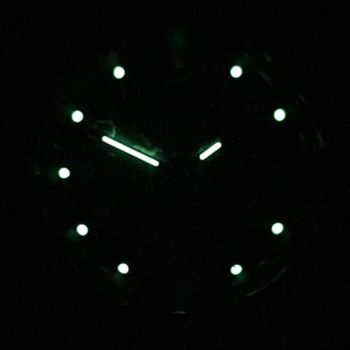 ВОСТОК КОМАНДИРСКИЕ (219179)