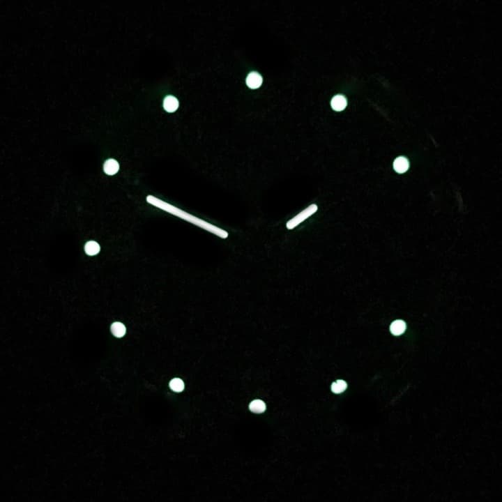 ВОСТОК КОМАНДИРСКИЕ (43182Б )