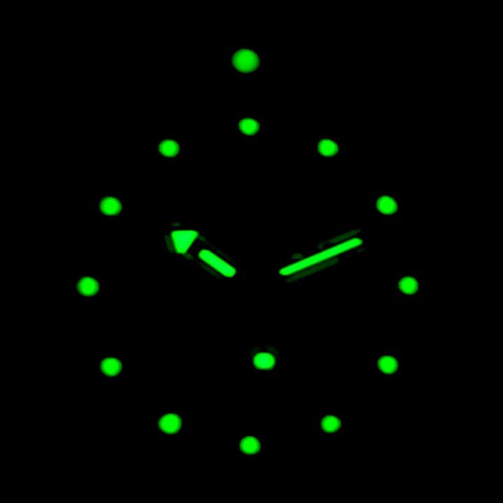 ВОСТОК АМФИБИЯ SCUBA DUDE (670920 S1)