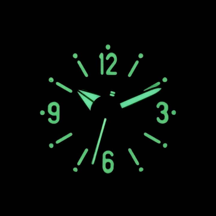 ВОСТОК АМФИБИЯ (170660S SE1)