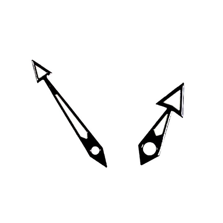 Черные стрелки ВОСТОК АМФИБИЯ КОМАНДИРСКИЕ (PAAR76)