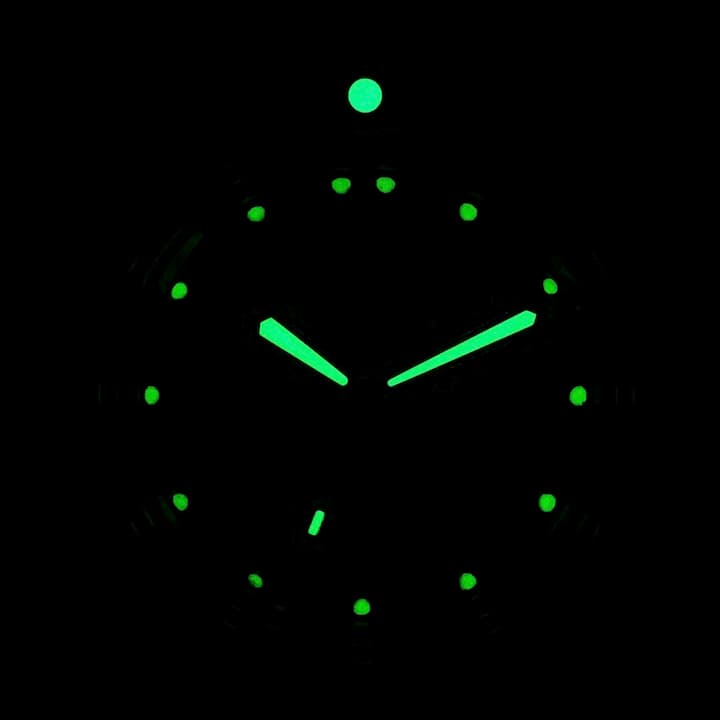 ВОСТОК КОМАНДИРСКИЕ (650859 S1)