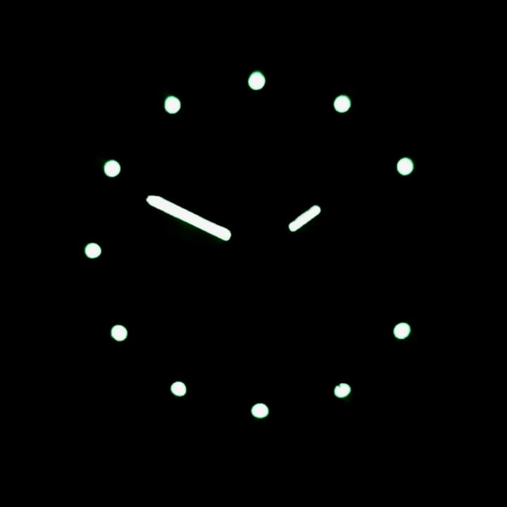 ВОСТОК КОМАНДИРСКИЕ (30601Г)