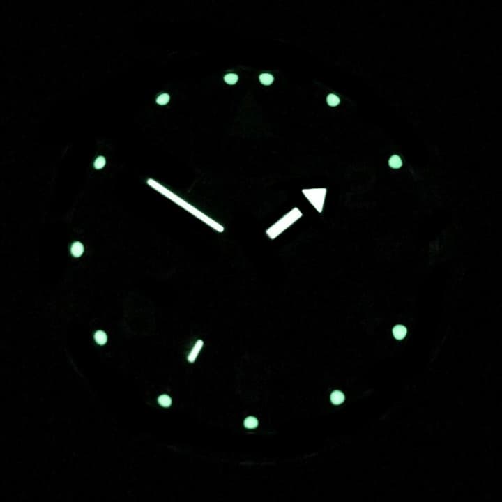 ВОСТОК КОМАНДИРСКИЕ (650536)