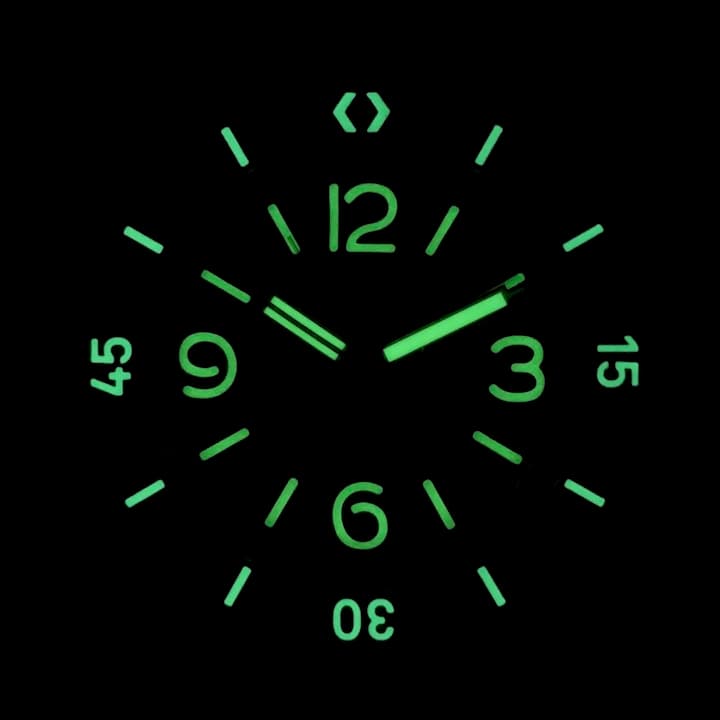 ВОСТОК АМФИБИЯ ПАМФИБИЯ (170548 S2)