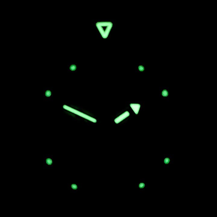 ВОСТОК КОМАНДИРСКИЕ (350749)