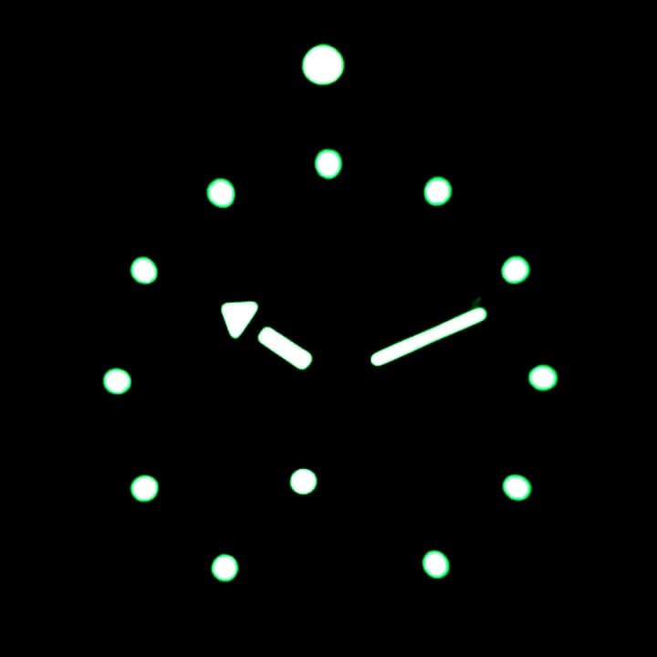 ВОСТОК АМФИБИЯ SCUBA DUDE (420379 S1)